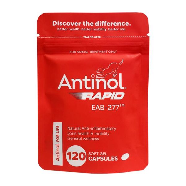 Antinol Rapid Natural Anti Inflammatory Joint & Mobility Capsules For Dogs  120 Capsule