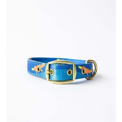 Anipal Piper The Platypus Dog Collar Medium