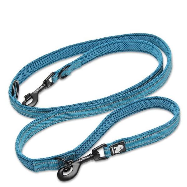 Function Leash Blue
